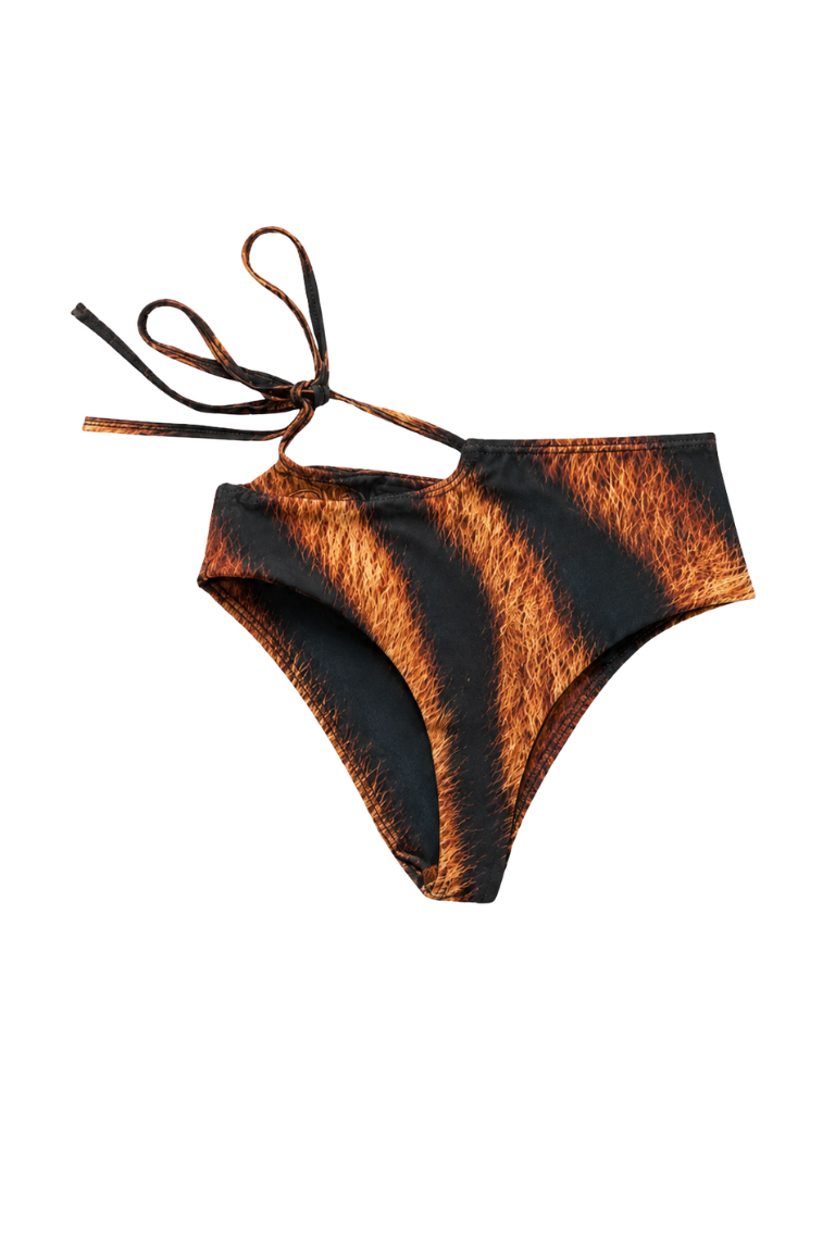 DARIA BOTTOM tiger