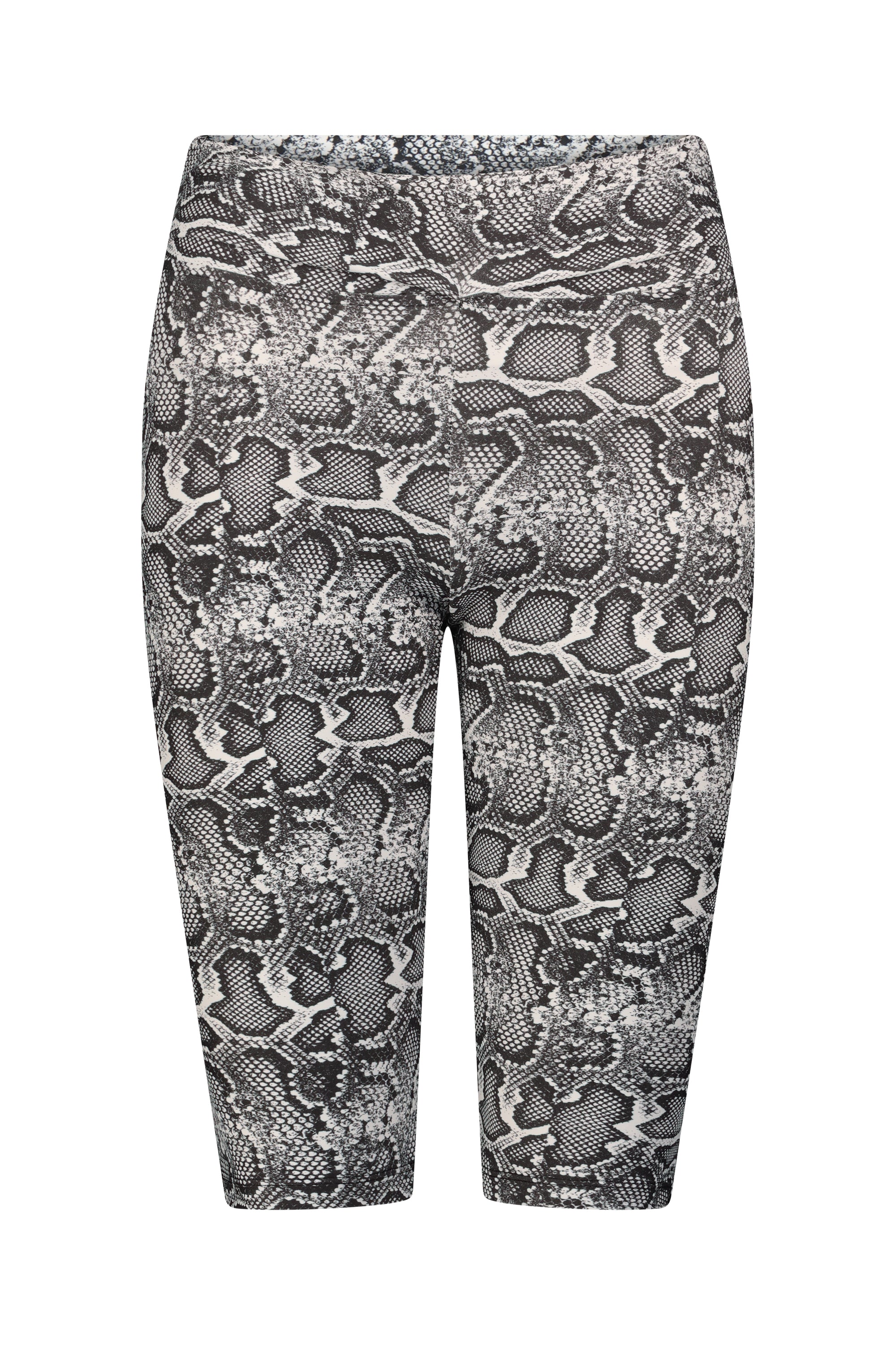 ALIET BAKERS snake