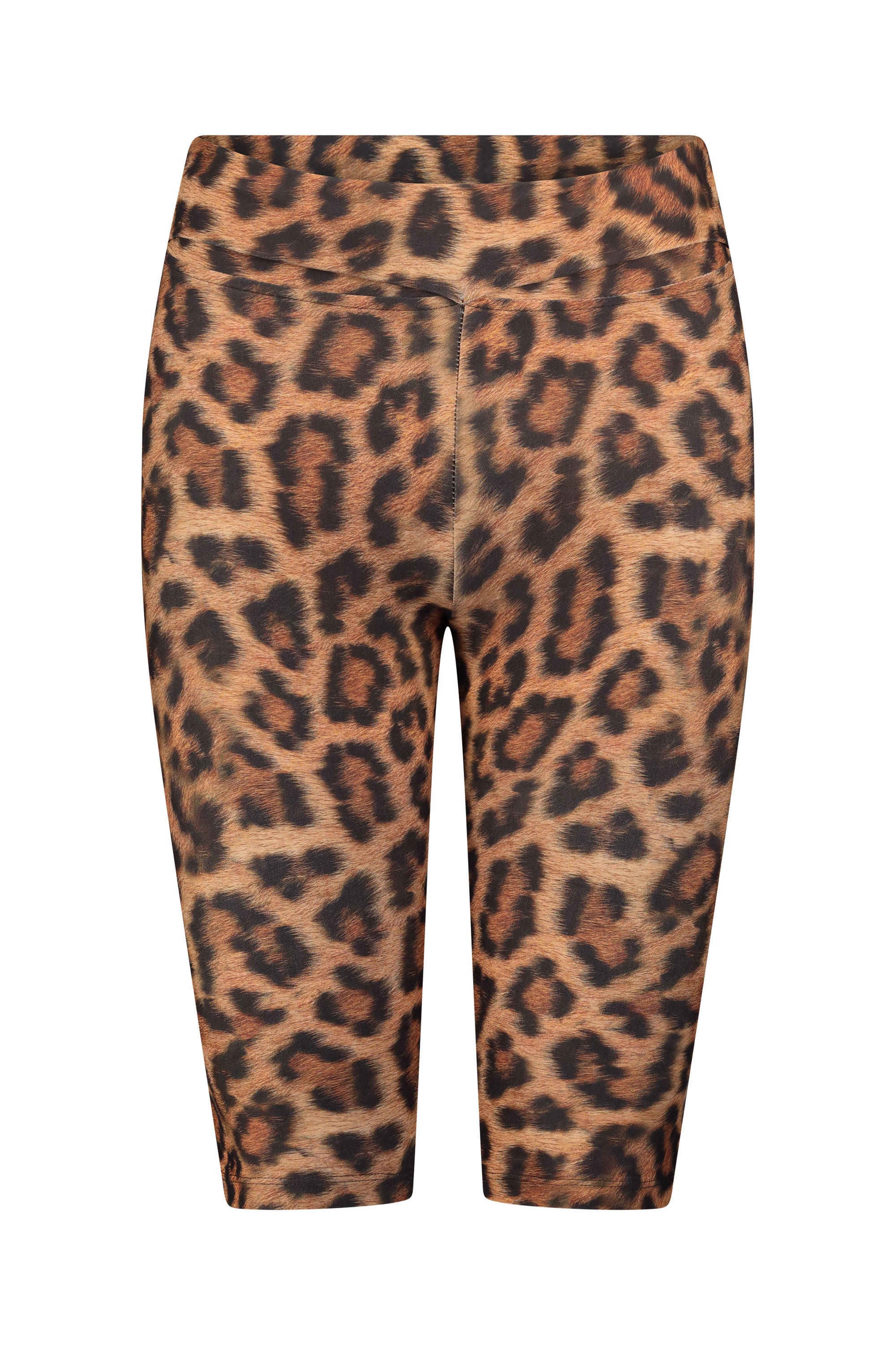 ALIET BAKERS leopard