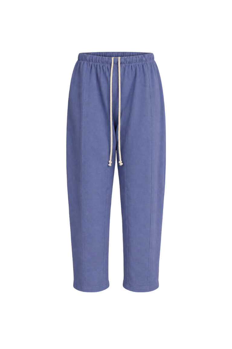 JORDAN SWEATPANTS purple