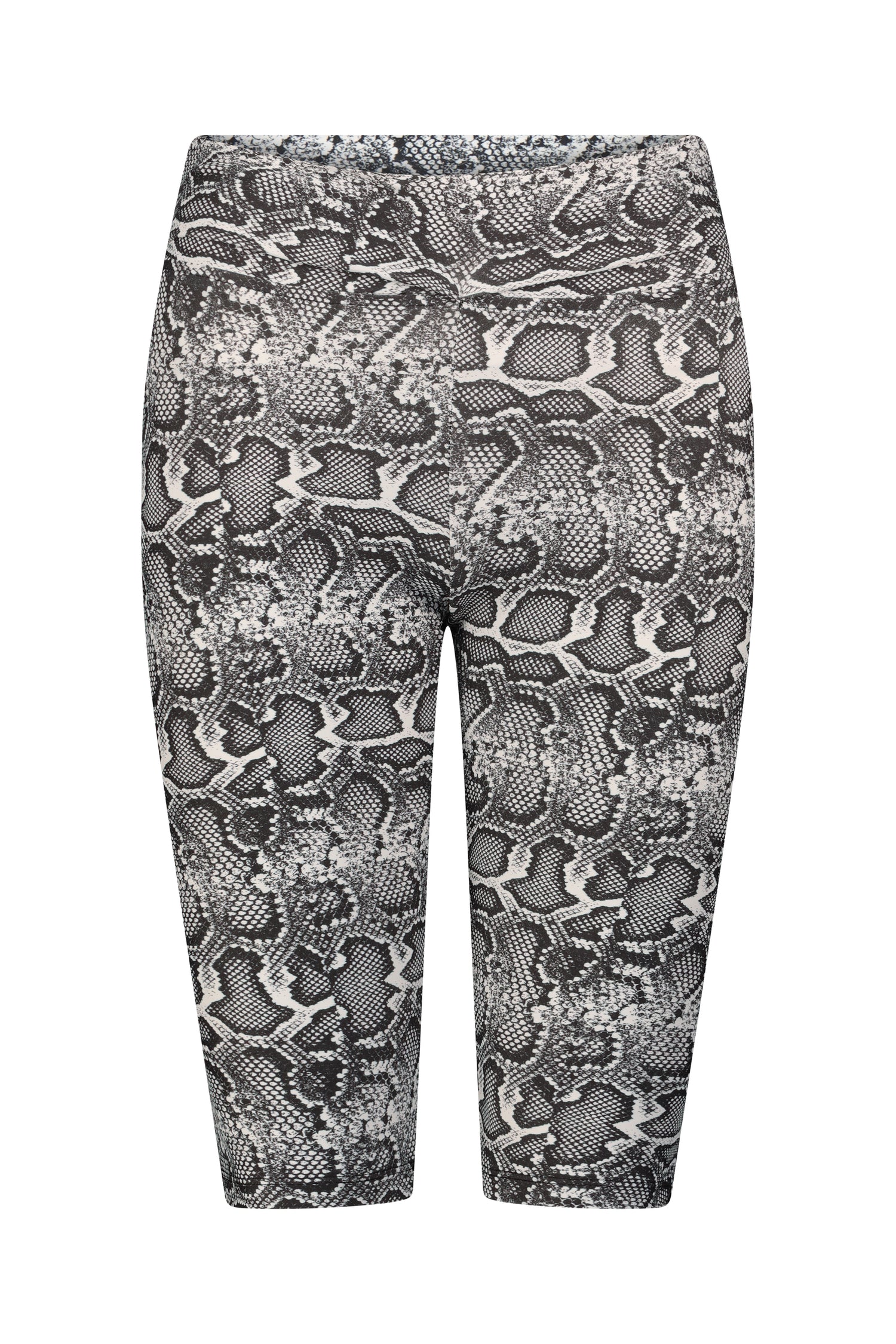 ALIET BAKERS snake