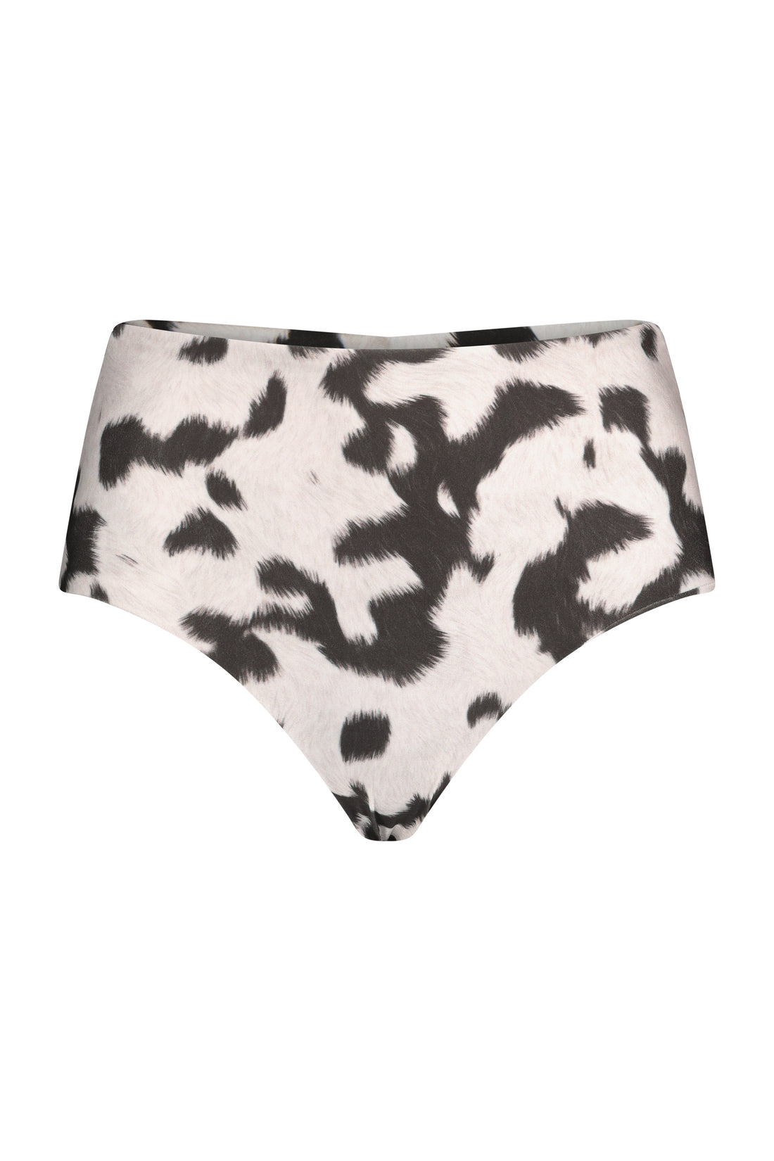MICHELLE BOTTOM cow
