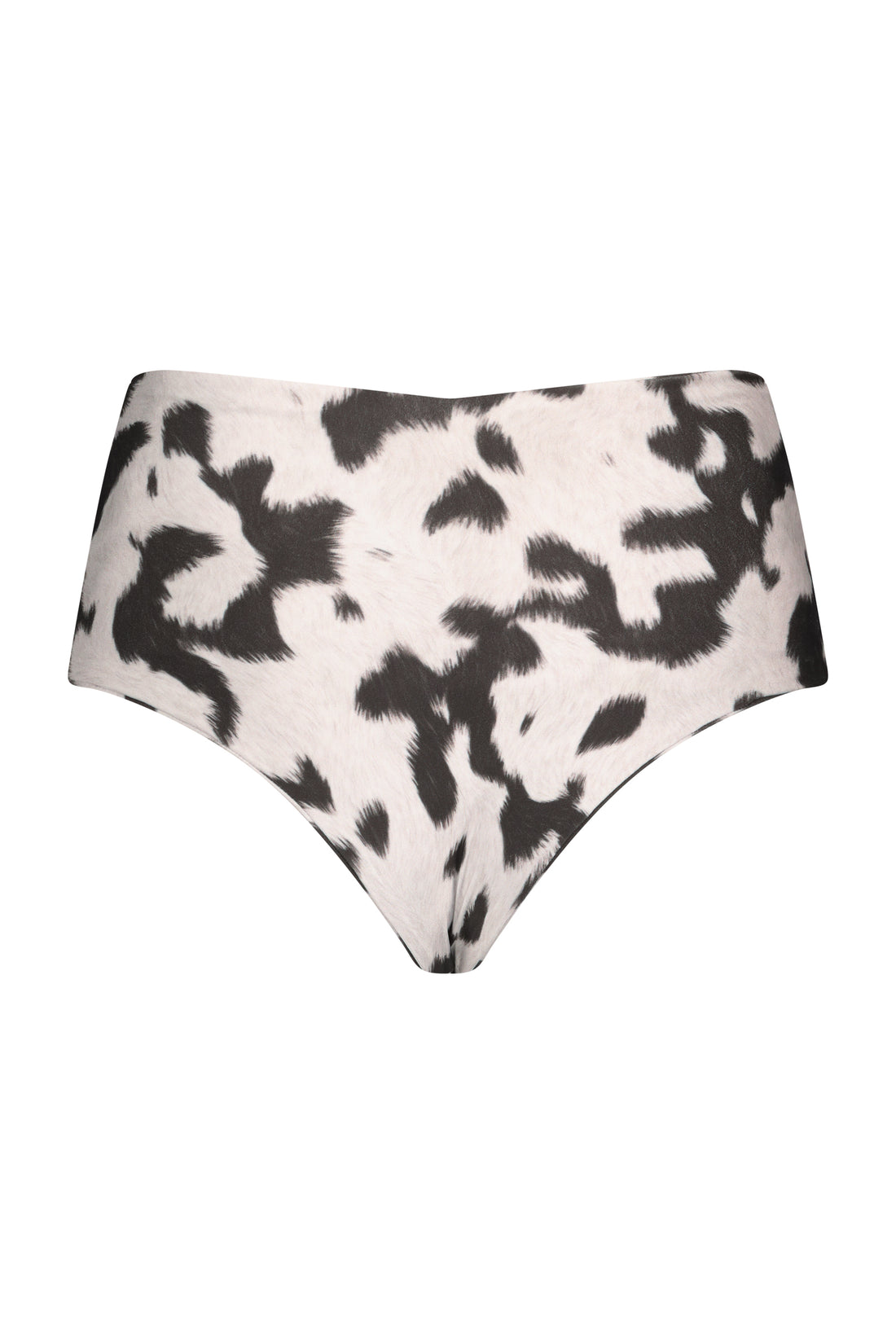 MICHELLE BOTTOM cow