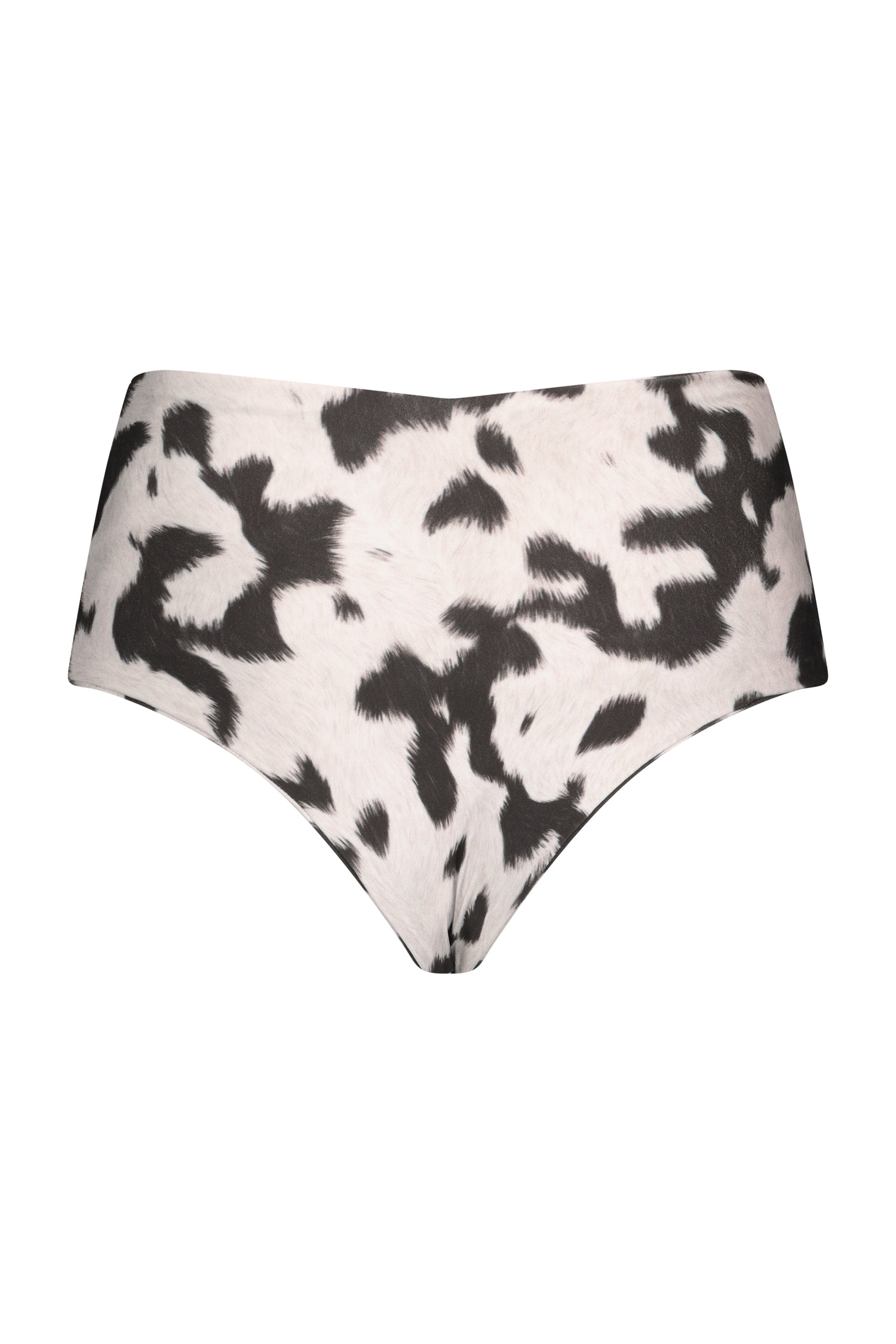 MICHELLE BOTTOM cow