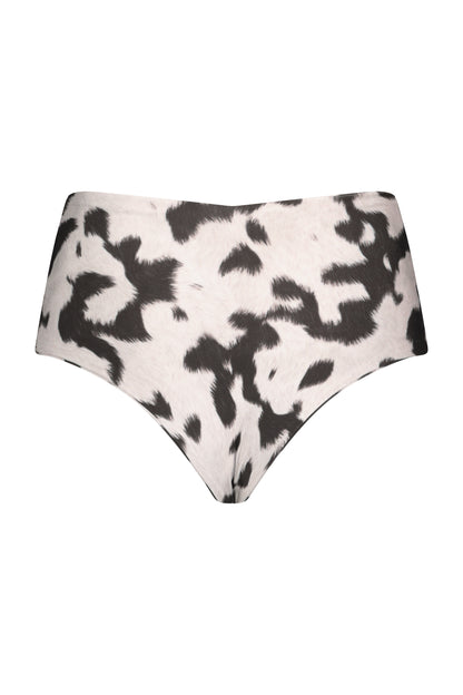 MICHELLE BOTTOM cow