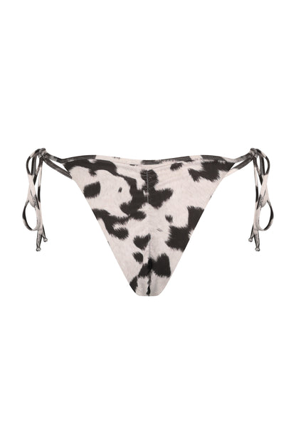 KARA BOTTOM cow