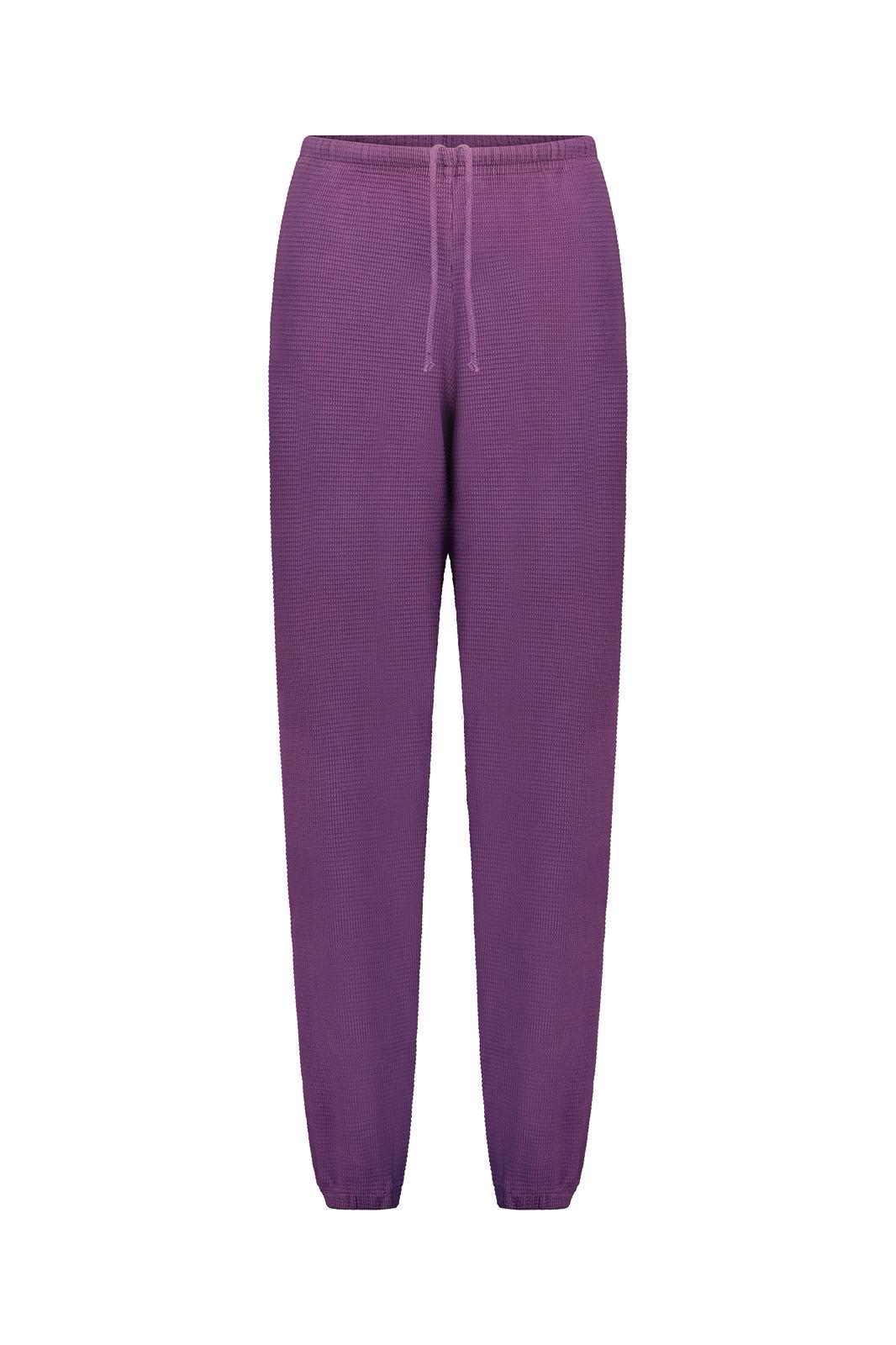 DYLAN SWEATPANTS purple